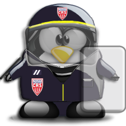 penguin pingouin pinguino 613